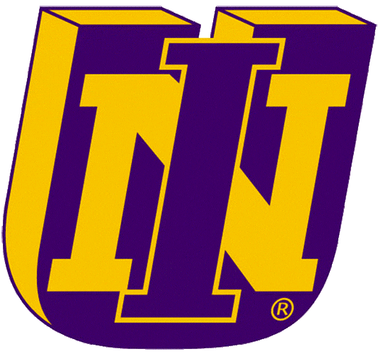 Northern Iowa Panthers 2001 Primary Logo DIY iron on transfer (heat transfer)